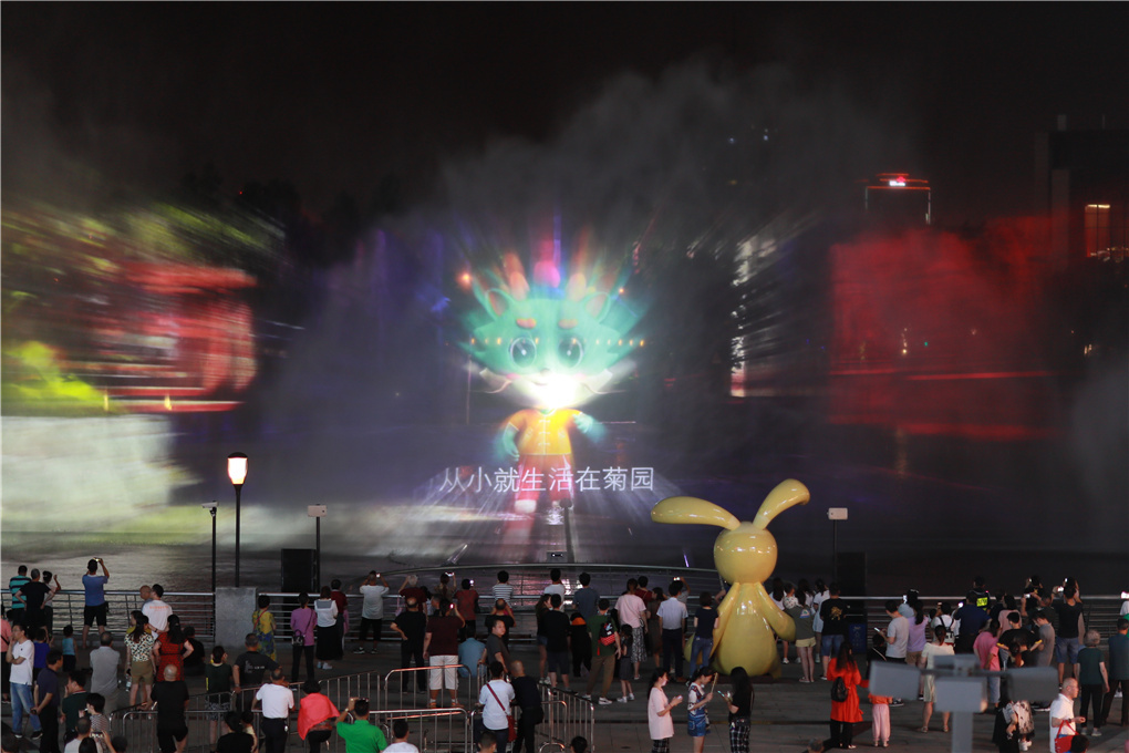 水幕电影引爆科技菊园秀(图2)